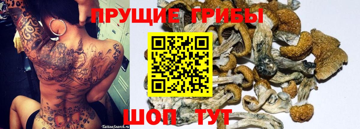 Псилоцибиновые грибы прущие грибы Грязи