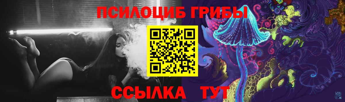 Галлюциногенные грибы Psilocybine cubensis  Вход с VPN  Галлюциногенные грибы Psilocybe  Грязи 